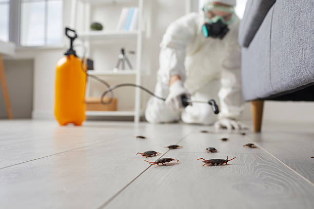 Trusted Fumigation Services service in Creve Coeur, MO - Nex Pest Control