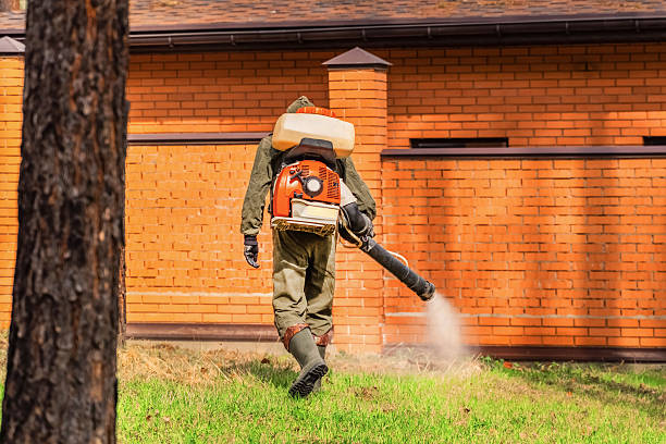 Trusted Ant Control service in Creve Coeur, MO - Nex Pest Control